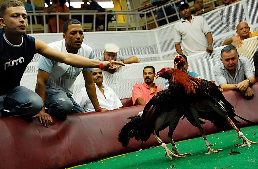 Quản Lý Thể Lực - "Om Bóp" và "Vần Hơi"