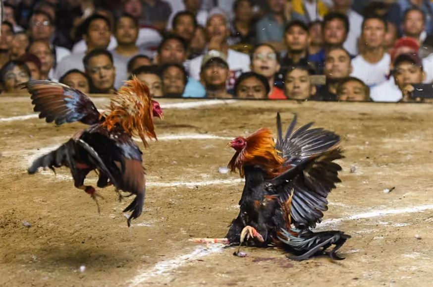 "Báo Động Đỏ" - Dấu Hiệu Của Bệnh Lý