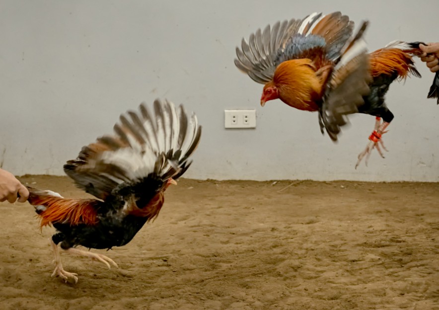 Giải Quyết Vấn Đề Nâng Cao & Lời Khuyên Chuyên Gia từ Bj38