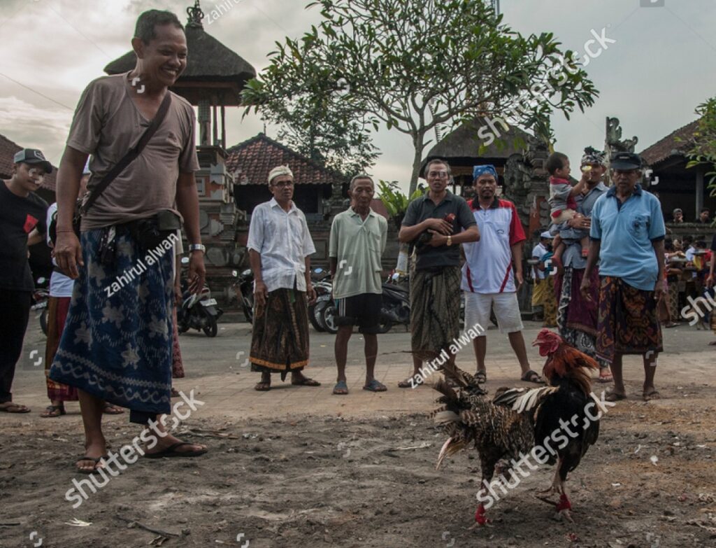 Tại Sao xem hậu độ gà chọi Lại Quan Trọng Hơn Bạn Nghĩ