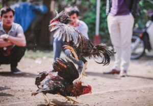 Giải Quyết Vấn Đề Nâng Cao & Lời Khuyên