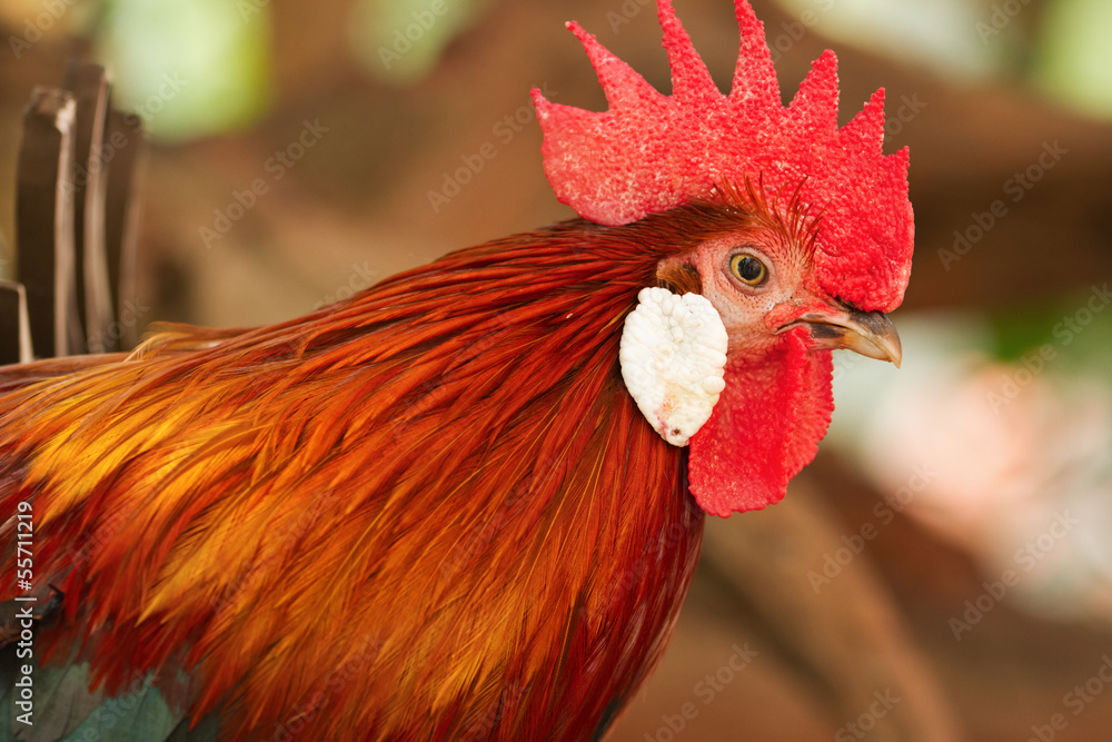 Tại Sao Việc Hiểu Rõ Nguyên Nhân Thua Lại Quan Trọng?