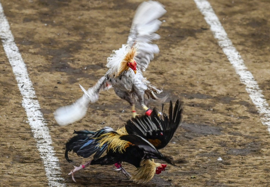 Chăm Sóc Da Thịt: Nghệ Thuật "Om Bóp" và "Vô Nghệ"