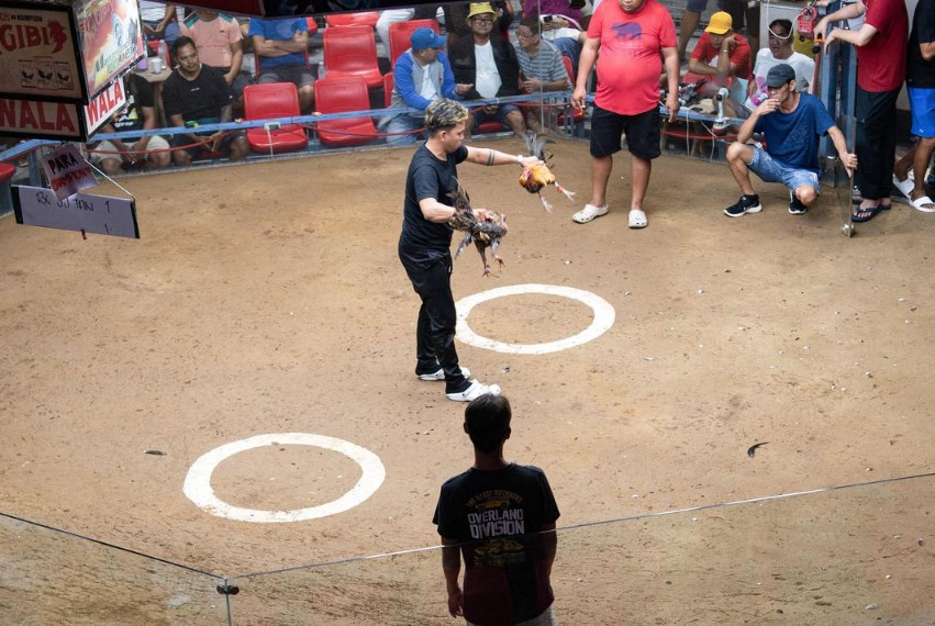 Giải Quyết Vấn Đề Nâng Cao & Lời Khuyên Chuyên Gia