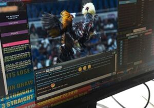 Cách Trị Bệnh Lác Cho Gà Tận Gốc: Bí Quyết "Vàng" Từ Kinh Nghiệm của Bj38