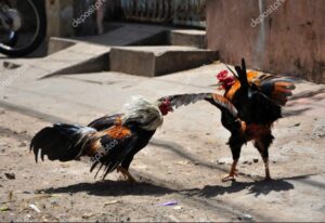 Chế độ dinh dưỡng phục hồi chuyên biệt (Hồi sức - Tăng gân lực)