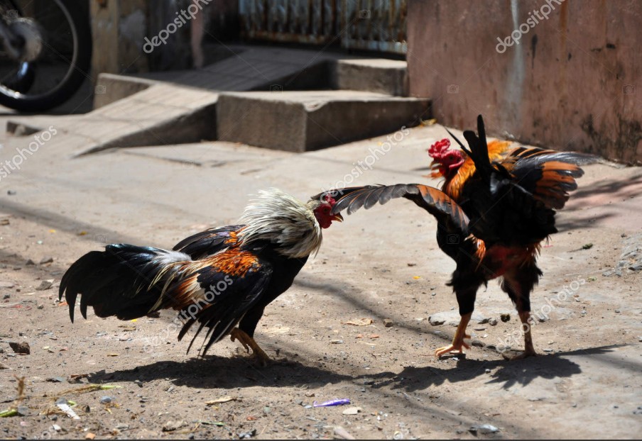 Chế độ dinh dưỡng phục hồi chuyên biệt (Hồi sức - Tăng gân lực)