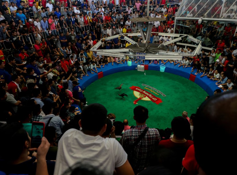 Chế độ dinh dưỡng và "bài tập" tăng cường sức đề kháng